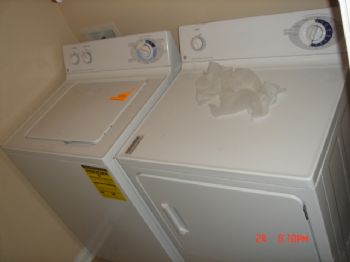 Nice_to_know profile photo