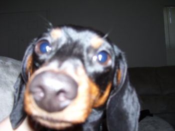 darlean08 profile photo