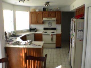 bengalfan513 profile photo