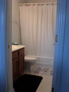 bengalfan513 profile photo