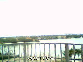 Cunaguaro profile photo