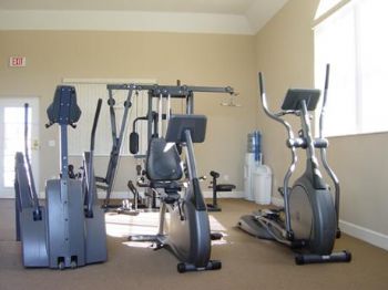 laurlaur7849 profile photo