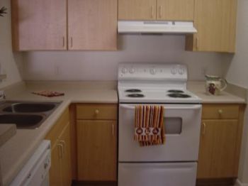 laurlaur7849 profile photo