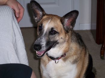 VAIronDuke profile photo