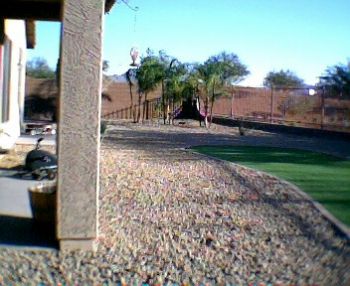 mserries profile photo