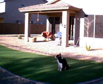 mserries profile photo