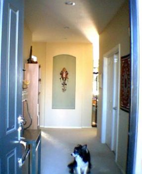 mserries profile photo