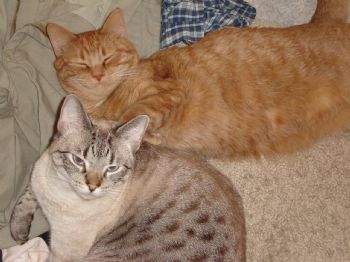 bubbletoes22 profile photo