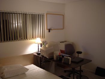 shandont profile photo