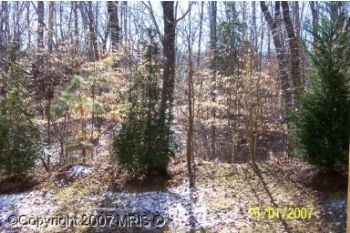 stefaniL profile photo