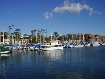 waterhse profile photo