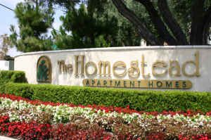 Captkamikaze profile photo