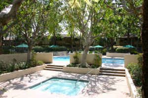 Captkamikaze profile photo