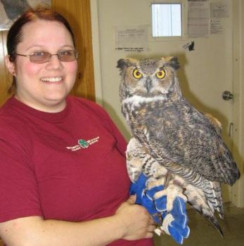 Xybelle profile photo