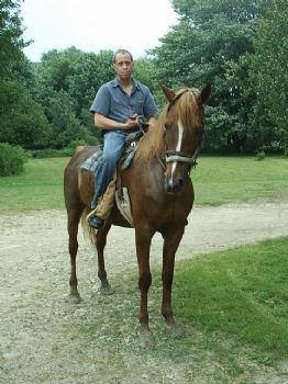 greenvillepa profile photo