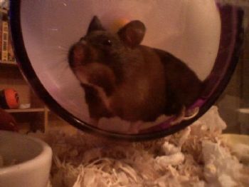 UWStephanie profile photo