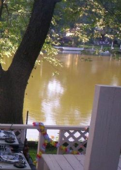 rache1789 profile photo