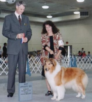 shltlvr profile photo