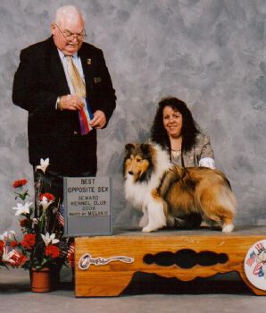 shltlvr profile photo