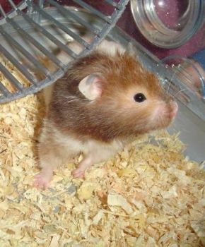 jennsavy profile photo