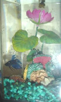 jennsavy profile photo