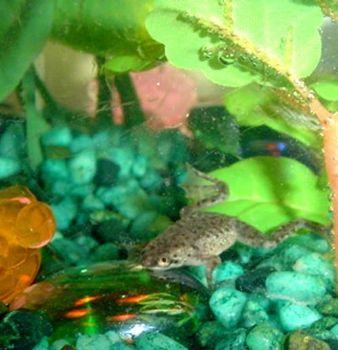 jennsavy profile photo