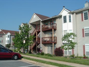 spidersting profile photo