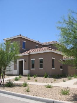 amore11581 profile photo