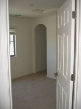 amore11581 profile photo