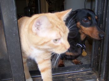 rulaidback profile photo