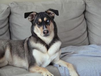 NEWHOME4RENT profile photo