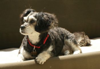 Frogger07 profile photo