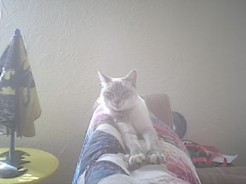 JenniferB77 profile photo