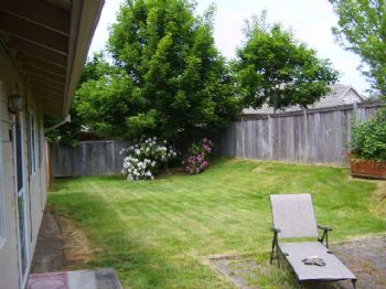 aaronss profile photo