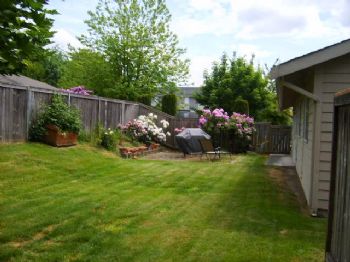 aaronss profile photo