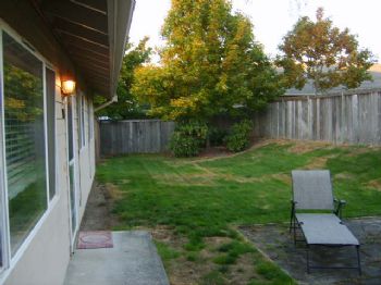 aaronss profile photo