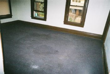 can1843211 profile photo