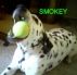 puncey profile photo