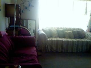 eferguson84 profile photo