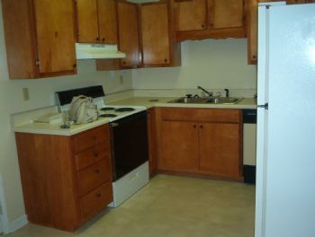 Mishani profile photo