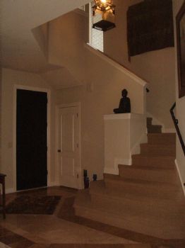 walshybc profile photo