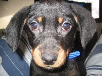 neilnorth profile photo