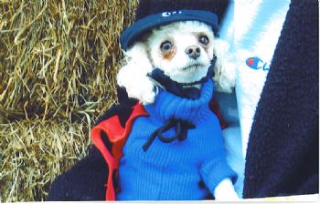 Bruceboy profile photo