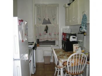 jasminflower profile photo