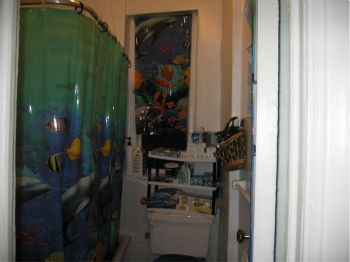 jasminflower profile photo