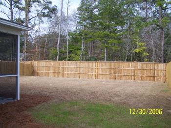 kcj1219 profile photo