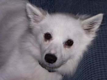 mousygrl05 profile photo