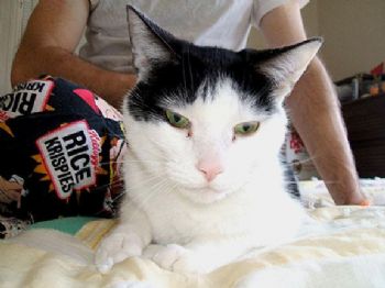 mousygrl05 profile photo