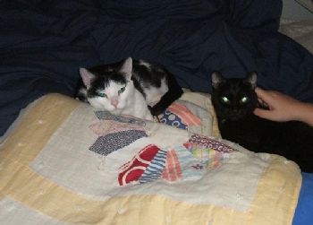 mousygrl05 profile photo