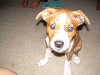 kaity80 profile photo